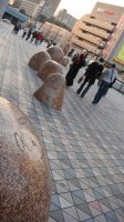 DSC00764.JPG